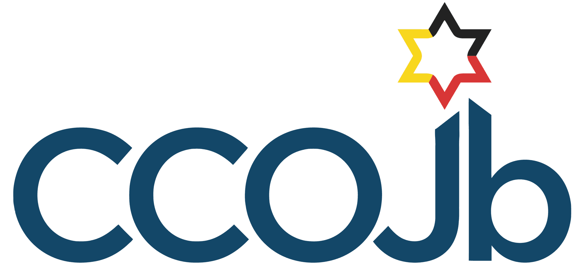 Vice President, Coordinating Committee of Belgian Jewish Organisations (CCOJB)