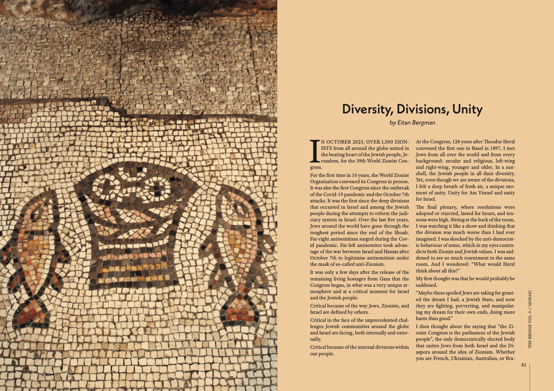 The Bridge Magazine IX - Mosaic